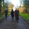 Coaching individuel – Image 3