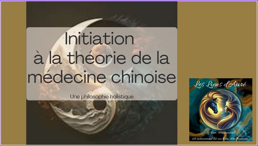 Initiation à la Médecine Traditionnelle Chinoise et au massage