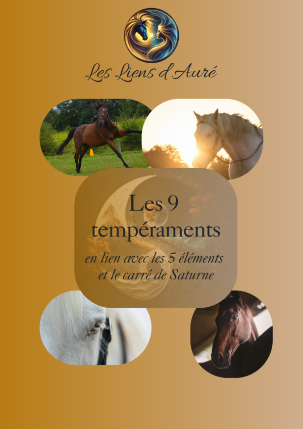 E-book les 9 tempéraments GRATUIT