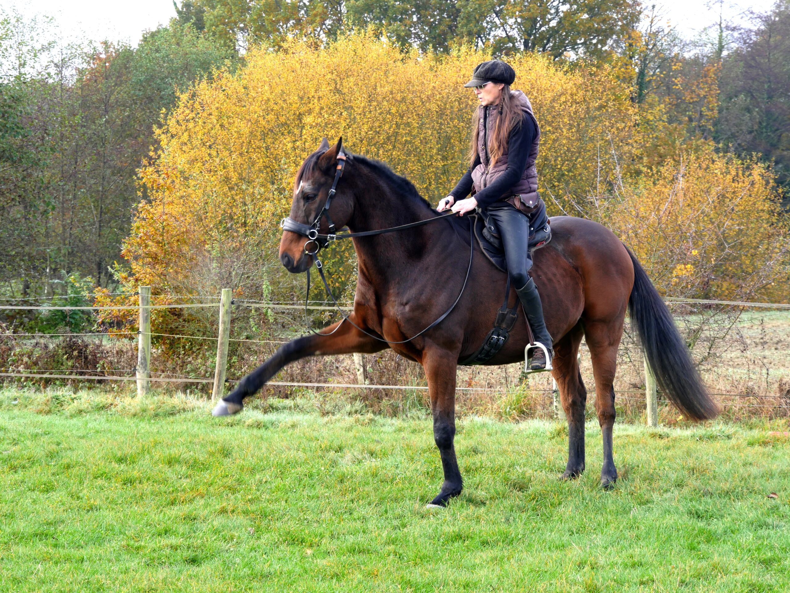 Formation E-MOVE&CARE – Image 7