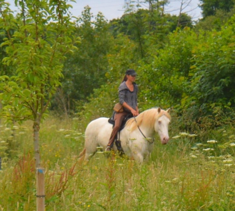 Formation E-MOVE&CARE – Image 9