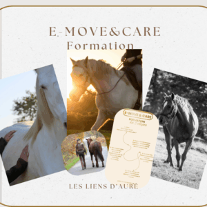 Formation E-MOVE&CARE