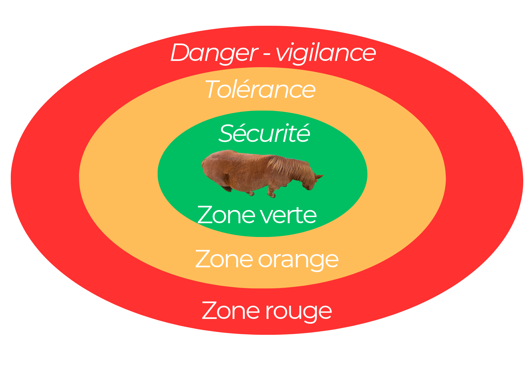 Formation Safe Place Equine – Image 3