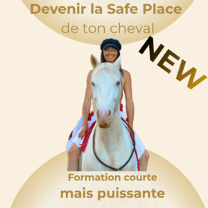 Formation Safe Place Equine