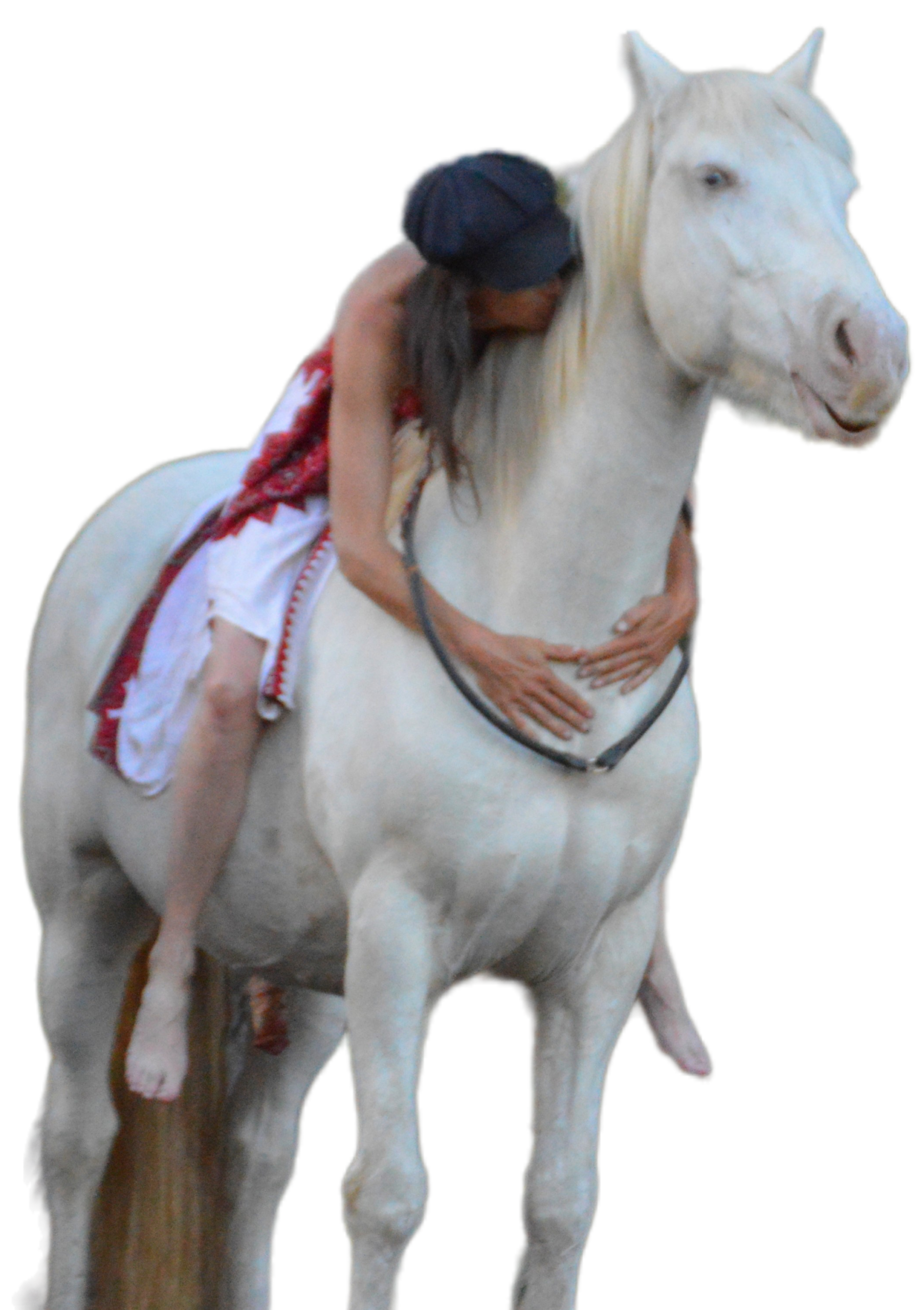 Formation Safe Place Equine – Image 2